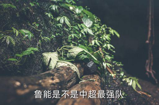 魯能是不是中超最強(qiáng)隊(duì)