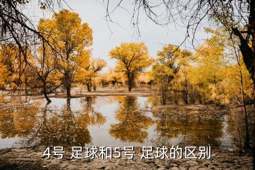 正規(guī)比賽用的足球
