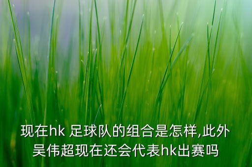 現在hk 足球隊的組合是怎樣,此外吳偉超現在還會(huì )代表hk出賽嗎