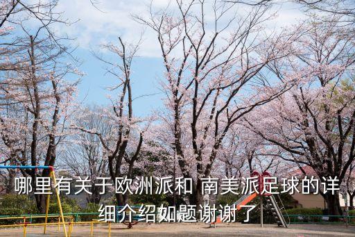 南美各足球隊(duì)特色,南美足球隊(duì)有哪些國家