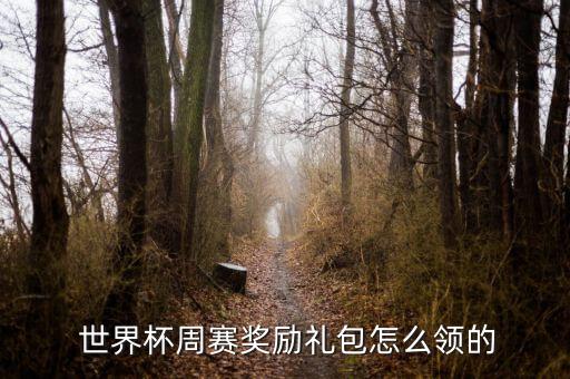  世界杯周賽獎勵禮包怎么領(lǐng)的