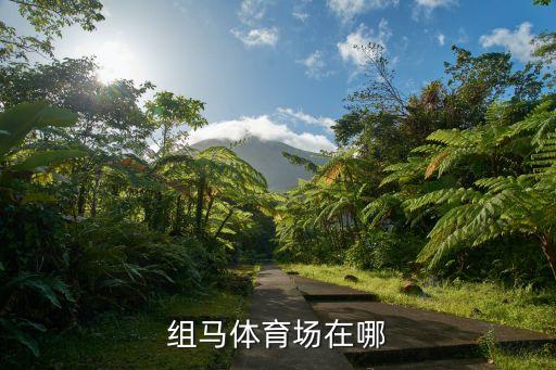 組馬體育場(chǎng)在哪