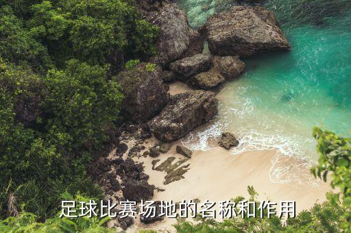 足球城是世界哪個城市,世界公認足球起源于哪個國家
