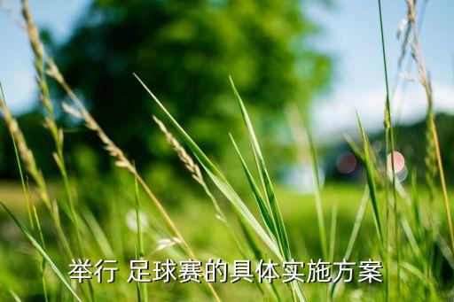 舉行 足球賽的具體實(shí)施方案