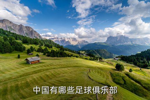 中國有哪些足球俱樂部