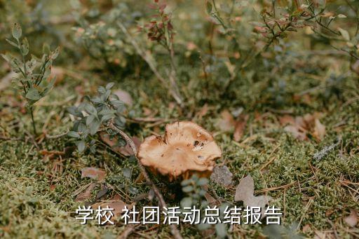 學(xué)校 社團(tuán)活動(dòng)總結(jié)報(bào)告