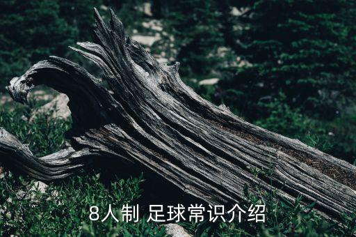 8人制 足球常識介紹