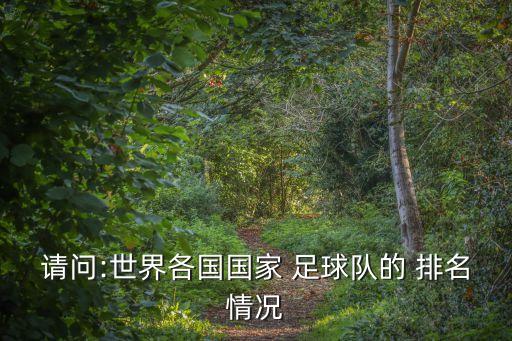 請問:世界各國國家 足球隊的 排名情況