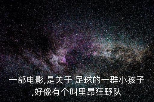 一部電影,是關于 足球的一群小孩子,好像有個叫里昂狂野隊