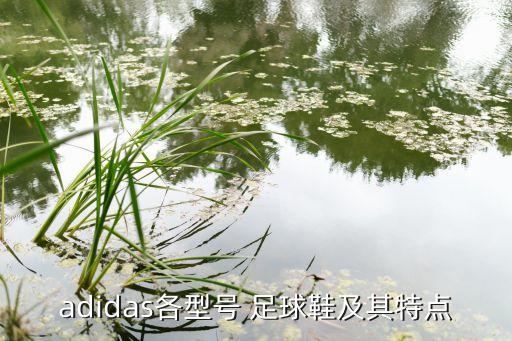 狂戰(zhàn)士足球鞋3.0