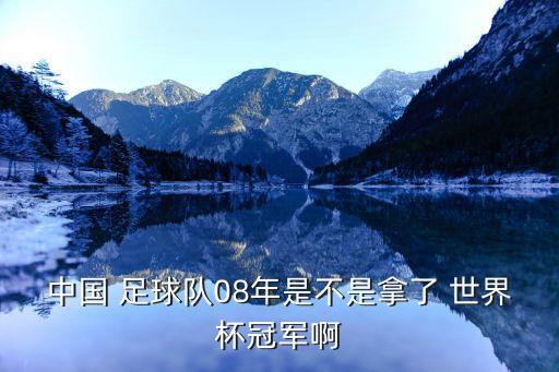 中國(guó) 足球隊(duì)08年是不是拿了 世界杯冠軍啊