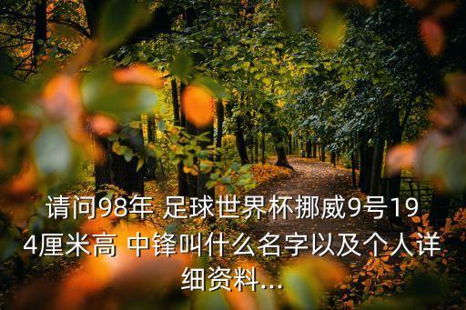 請問98年 足球世界杯挪威9號194厘米高 中鋒叫什么名字以及個人詳細(xì)資料...