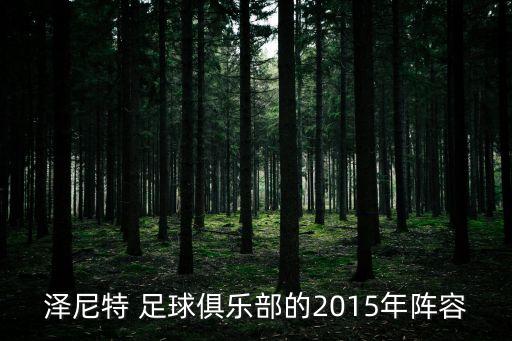 澤尼特 足球俱樂部的2015年陣容