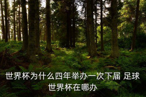 世界杯為什么四年舉辦一次下屆 足球世界杯在哪辦