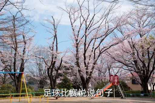 不舍足球的語錄,足球十大經(jīng)典語錄