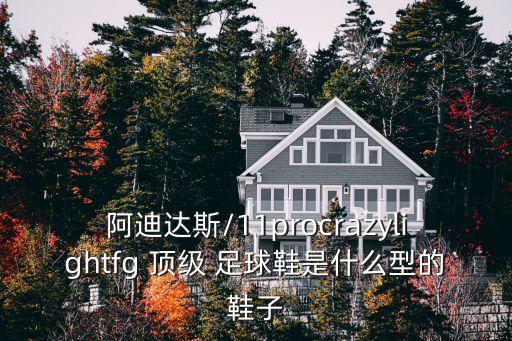 阿迪達(dá)斯/11procrazylightfg 頂級 足球鞋是什么型的鞋子