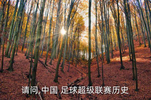 請(qǐng)問(wèn),中國(guó) 足球超級(jí)聯(lián)賽歷史