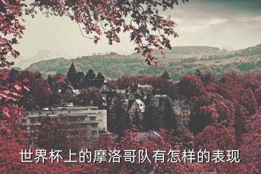 世界杯上的摩洛哥隊(duì)有怎樣的表現(xiàn)