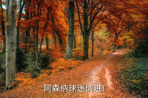 阿森納球迷請進!