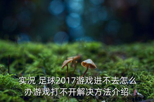 實(shí)況足球2017無法更新