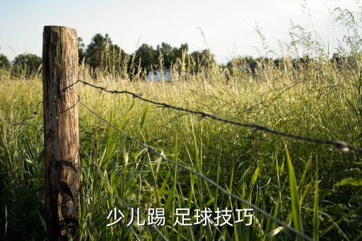 小學足球簡單動作,花式足球簡單又帥氣的動作