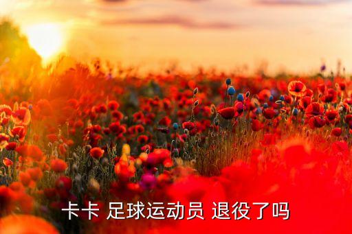 卡卡 足球運(yùn)動員 退役了嗎