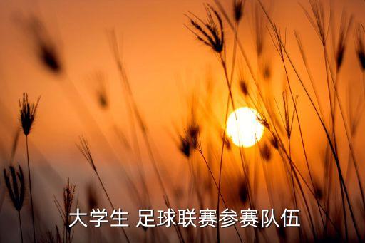  大學(xué)生 足球聯(lián)賽參賽隊伍