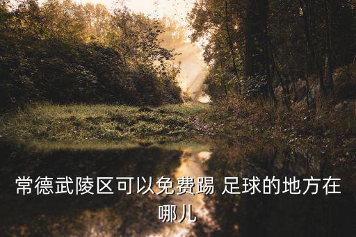 常德武陵區(qū)可以免費踢 足球的地方在哪兒