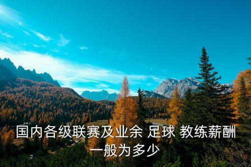 國內(nèi)各級(jí)聯(lián)賽及業(yè)余 足球 教練薪酬一般為多少