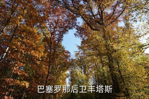 巴薩足球 架子鼓