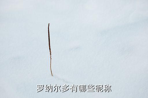 羅納爾多有哪些昵稱