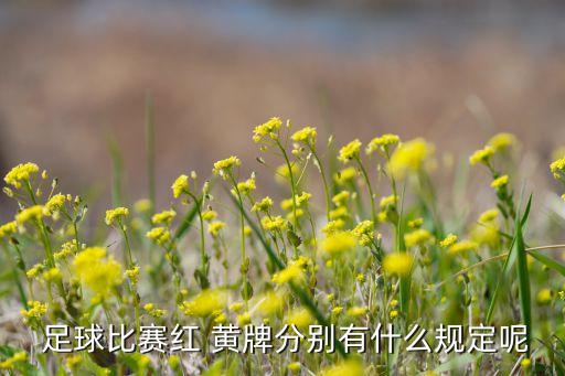  足球比賽紅 黃牌分別有什么規(guī)定呢