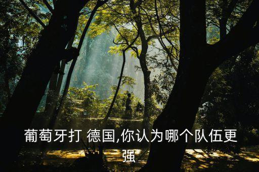  葡萄牙打 德國,你認為哪個隊伍更強
