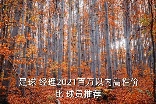  足球 經(jīng)理2021百萬以內(nèi)高性價比 球員推薦