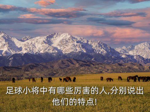 琿春北國足球隊
