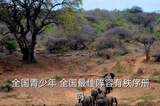  全國(guó)青少年 全國(guó)最佳陣容有秩序冊(cè)嗎