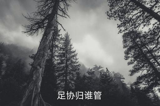 體育總局北控足球,中國體育總局足球運(yùn)動管理中心