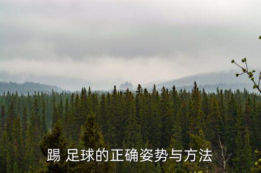 足球腳外側運球課堂,足球外腳背運球教案
