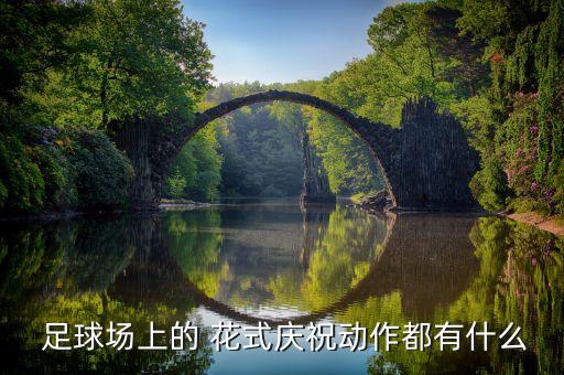  足球場(chǎng)上的 花式慶祝動(dòng)作都有什么