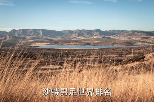 沙特男足世界排名