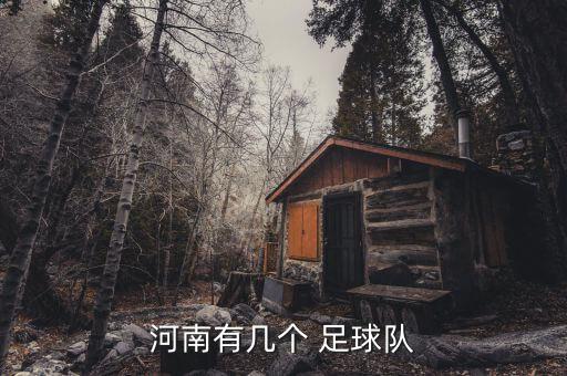 河南有幾個 足球隊