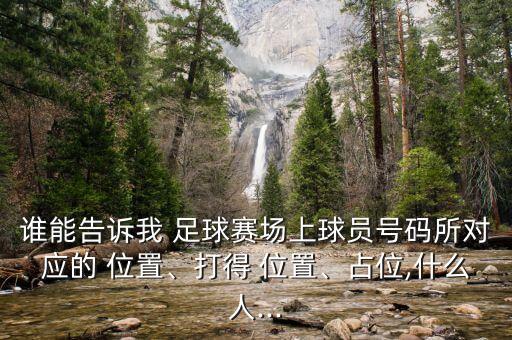 誰能告訴我 足球賽場上球員號碼所對應(yīng)的 位置、打得 位置、占位,什么人...