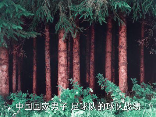 2016全國u15足球錦標(biāo)賽比賽積分