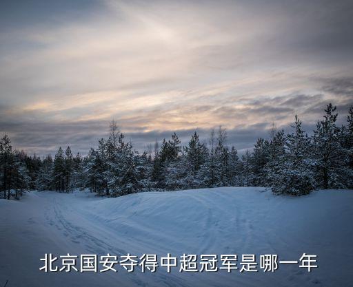  北京國安奪得中超冠軍是哪一年