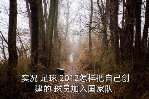  實(shí)況 足球 2012怎樣把自己創(chuàng)建的 球員加入國(guó)家隊(duì)