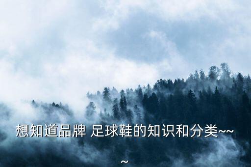 想知道品牌 足球鞋的知識和分類~~~