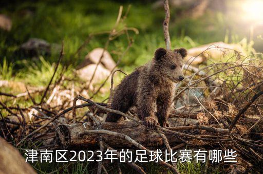 津南區(qū)2023年的足球比賽有哪些