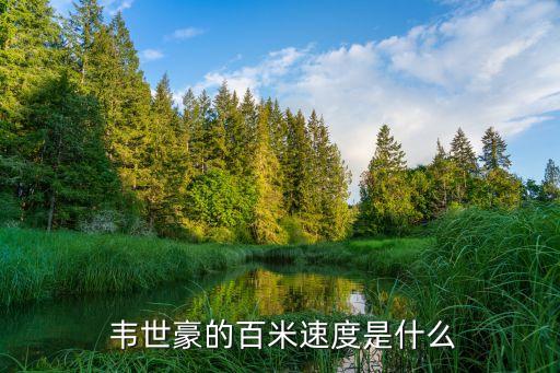  韋世豪的百米速度是什么