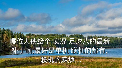 哪位大俠給個(gè) 實(shí)況 足球八的最新 補(bǔ)丁啊,最好是單機(jī) 聯(lián)機(jī)的都有, 聯(lián)機(jī)的麻煩...