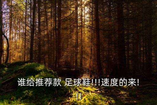 誰給推薦款 足球鞋!!!速度的來!!!